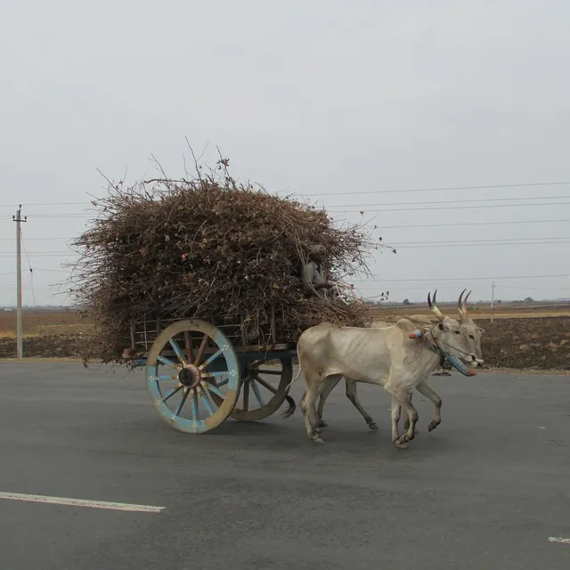 garden cart
