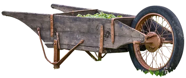 dump cart